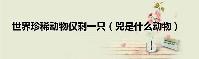 世界珍稀動(dòng)物僅剩一只（兕是什么動(dòng)物）