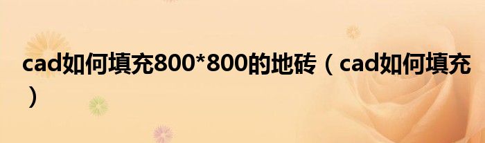 cad如何填充800*800的地磚（cad如何填充）