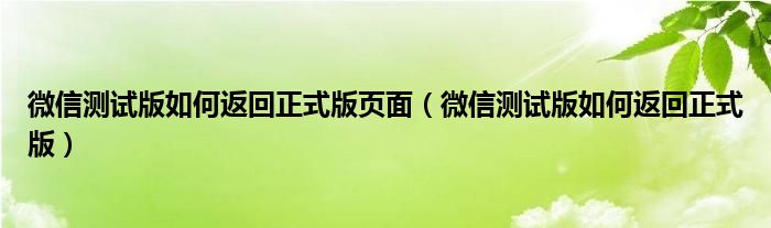 微信測(cè)試版如何返回正式版頁(yè)面（微信測(cè)試版如何返回正式版）