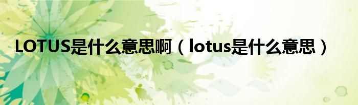 LOTUS是什么意思?。╨otus是什么意思）