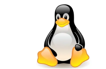 一個小型的實時啟動Linux安裝起死回生