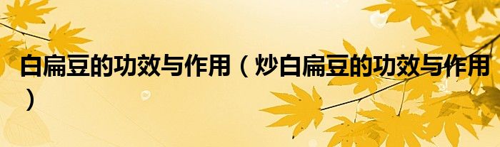 白扁豆的功效與作用（炒白扁豆的功效與作用）
