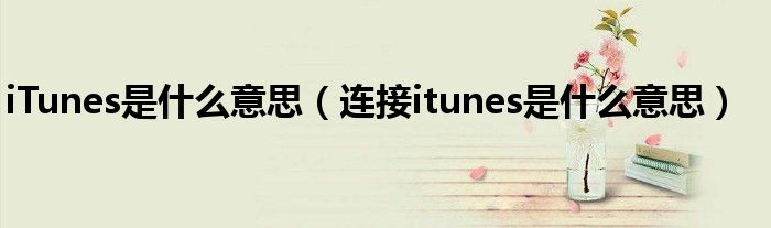 iTunes是什么意思（連接itunes是什么意思）