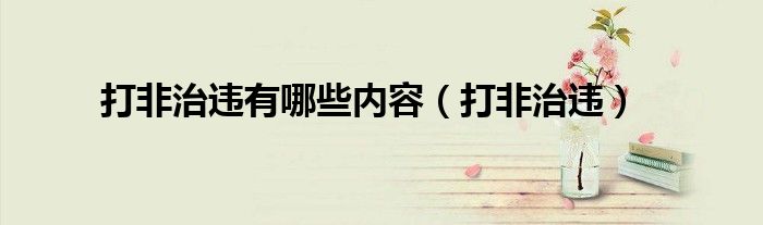 打非治違有哪些內(nèi)容（打非治違）