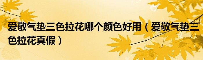 愛敬氣墊三色拉花哪個顏色好用（愛敬氣墊三色拉花真假）