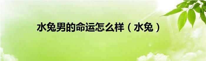水兔男的命運怎么樣（水兔）