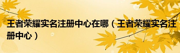 王者榮耀實(shí)名注冊(cè)中心在哪（王者榮耀實(shí)名注冊(cè)中心）