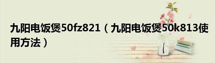 九陽(yáng)電飯煲50fz821（九陽(yáng)電飯煲50k813使用方法）