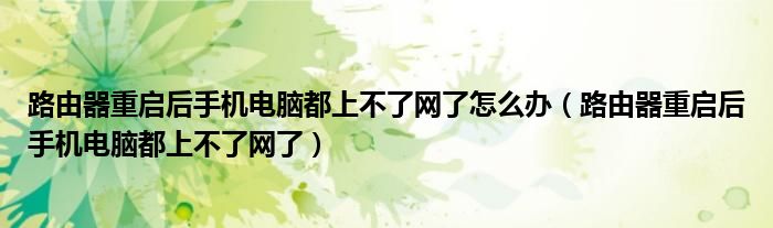 路由器重啟后手機電腦都上不了網(wǎng)了怎么辦（路由器重啟后手機電腦都上不了網(wǎng)了）