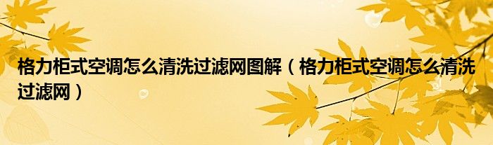 格力柜式空調(diào)怎么清洗過濾網(wǎng)圖解（格力柜式空調(diào)怎么清洗過濾網(wǎng)）