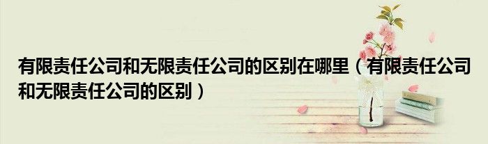 有限責(zé)任公司和無限責(zé)任公司的區(qū)別在哪里（有限責(zé)任公司和無限責(zé)任公司的區(qū)別）