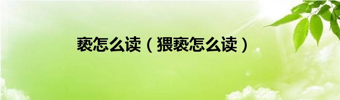 褻怎么讀（猥褻怎么讀）