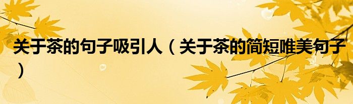關(guān)于茶的句子吸引人（關(guān)于茶的簡(jiǎn)短唯美句子）