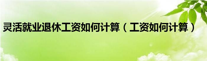 靈活就業(yè)退休工資如何計(jì)算（工資如何計(jì)算）