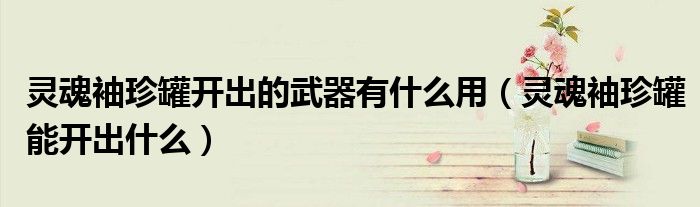 靈魂袖珍罐開出的武器有什么用（靈魂袖珍罐能開出什么）