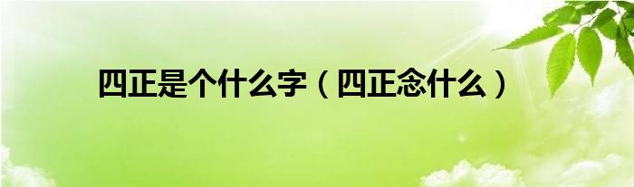 四正是個(gè)什么字（四正念什么）
