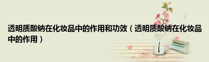 透明質(zhì)酸鈉在化妝品中的作用和功效（透明質(zhì)酸鈉在化妝品中的作用）