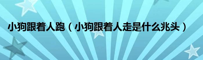 小狗跟著人跑（小狗跟著人走是什么兆頭）