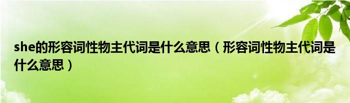 she的形容詞性物主代詞是什么意思（形容詞性物主代詞是什么意思）