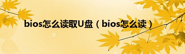 bios怎么讀取U盤（bios怎么讀）