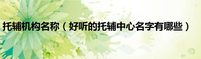 托輔機構(gòu)名稱（好聽的托輔中心名字有哪些）