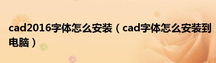 cad2016字體怎么安裝（cad字體怎么安裝到電腦）