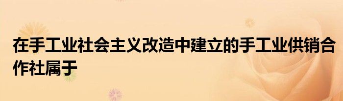 在手工業(yè)社會主義改造中建立的手工業(yè)供銷合作社屬于