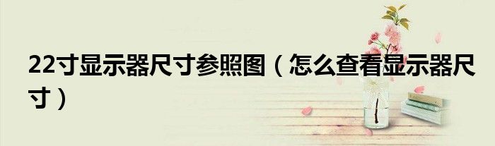22寸顯示器尺寸參照?qǐng)D（怎么查看顯示器尺寸）