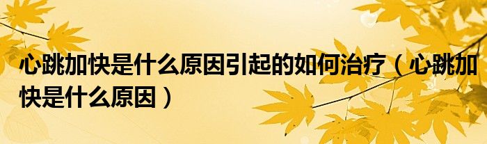 心跳加快是什么原因引起的如何治療（心跳加快是什么原因）
