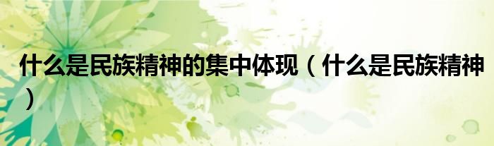 什么是民族精神的集中體現(xiàn)（什么是民族精神）