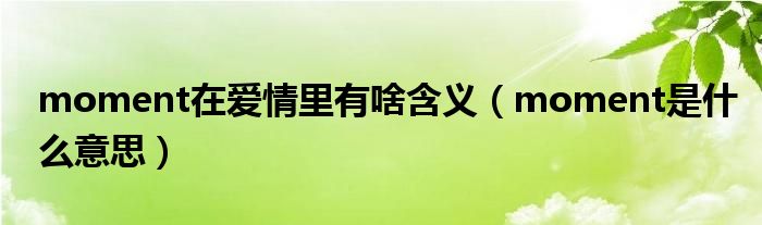 moment在愛情里有啥含義（moment是什么意思）