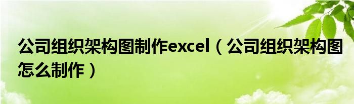 公司組織架構(gòu)圖制作excel（公司組織架構(gòu)圖怎么制作）