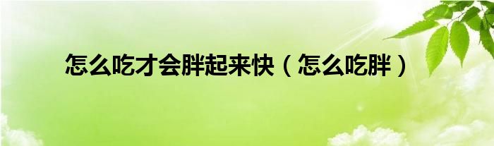 怎么吃才會(huì)胖起來快（怎么吃胖）