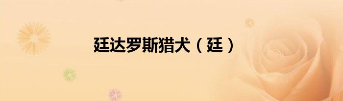廷達羅斯獵犬（廷）