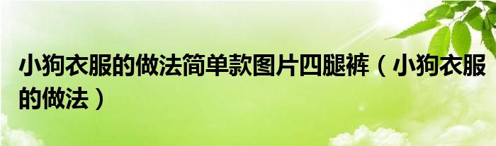 小狗衣服的做法簡(jiǎn)單款圖片四腿褲（小狗衣服的做法）