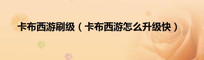 卡布西游刷級（卡布西游怎么升級快）