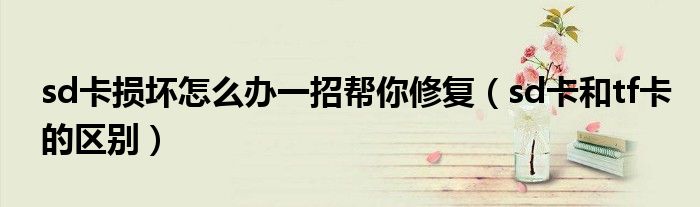 sd卡損壞怎么辦一招幫你修復(fù)（sd卡和tf卡的區(qū)別）