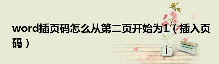 word插頁(yè)碼怎么從第二頁(yè)開(kāi)始為1（插入頁(yè)碼）