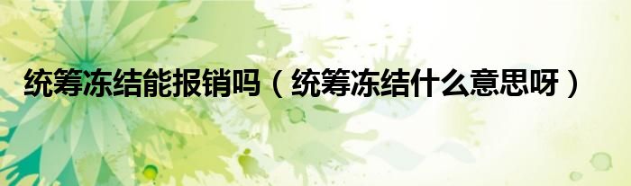 統(tǒng)籌凍結(jié)能報(bào)銷嗎（統(tǒng)籌凍結(jié)什么意思呀）