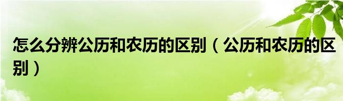 怎么分辨公歷和農(nóng)歷的區(qū)別（公歷和農(nóng)歷的區(qū)別）