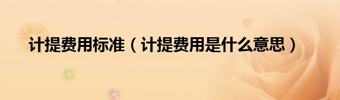 計(jì)提費(fèi)用標(biāo)準(zhǔn)（計(jì)提費(fèi)用是什么意思）