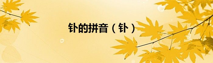 釙的拼音（釙）