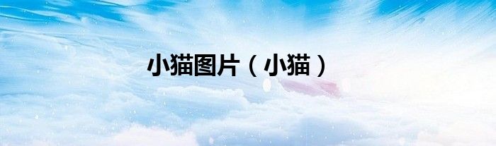 小貓圖片（小貓）