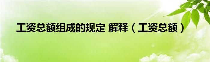 工資總額組成的規(guī)定 解釋（工資總額）