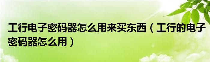 工行電子密碼器怎么用來買東西（工行的電子密碼器怎么用）