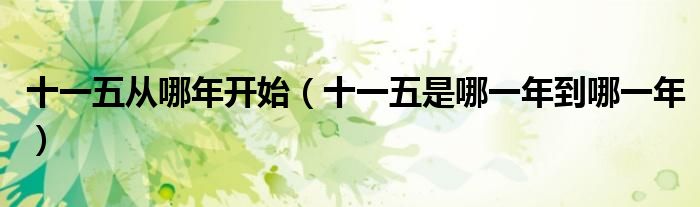 十一五從哪年開始（十一五是哪一年到哪一年）