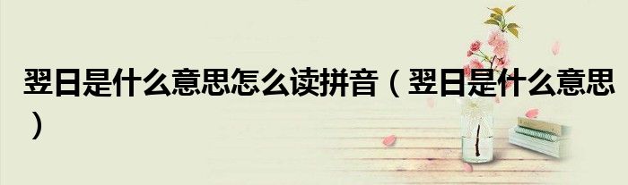 翌日是什么意思怎么讀拼音（翌日是什么意思）