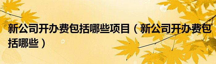 新公司開辦費(fèi)包括哪些項(xiàng)目（新公司開辦費(fèi)包括哪些）