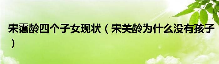 宋靄齡四個子女現(xiàn)狀（宋美齡為什么沒有孩子）