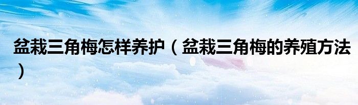 盆栽三角梅怎樣養(yǎng)護（盆栽三角梅的養(yǎng)殖方法）